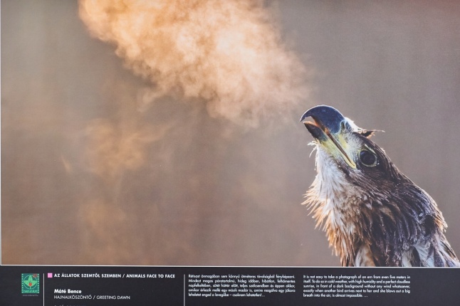 Az év természetfotói Nyíregyházán 2018 - fotó Szarka Lajos