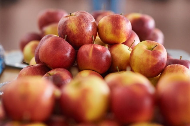 Agrár konferencia az egyetemen - fotó Szarka Lajos