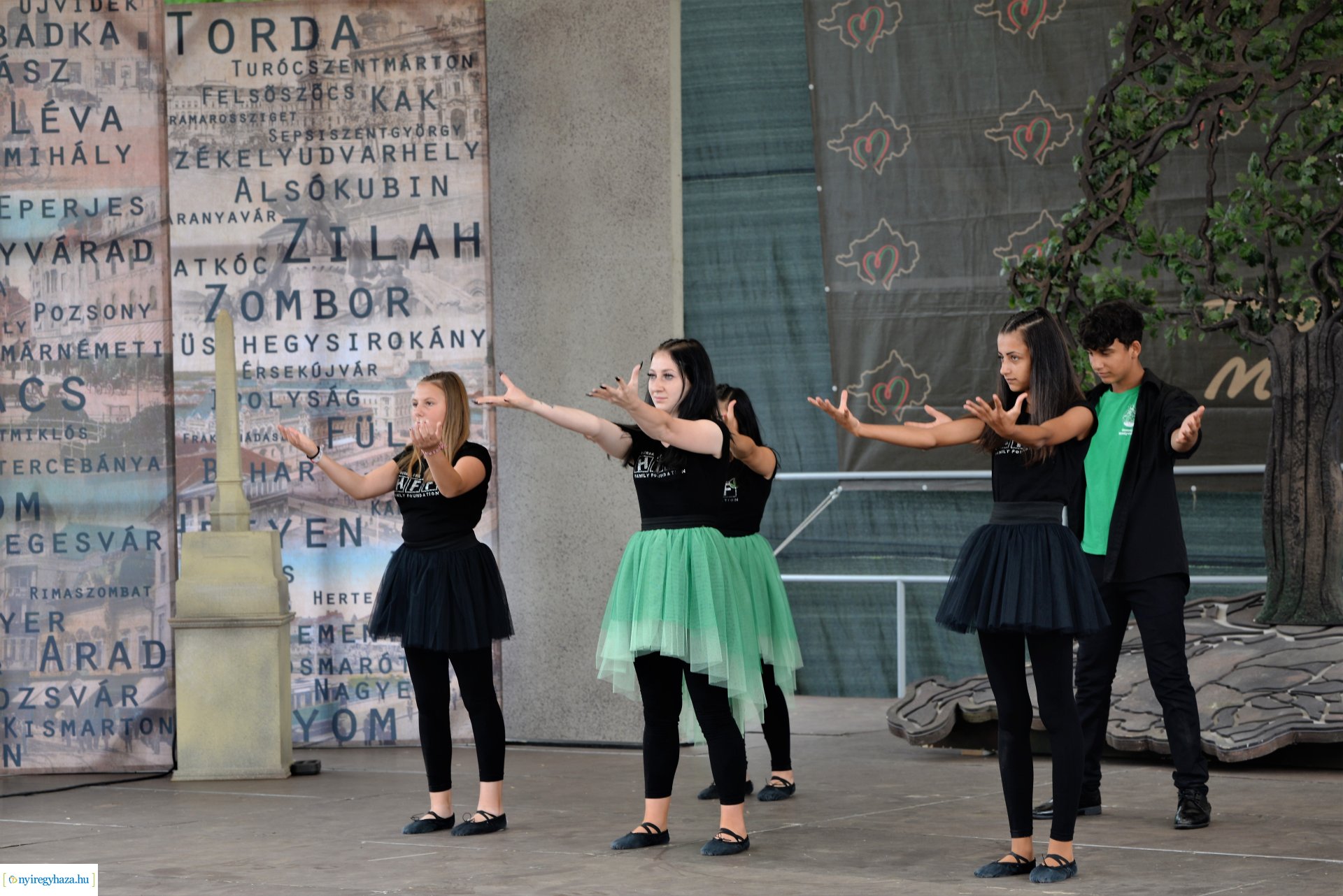 " Itthon vagyunk" vármegyei identitás feszt