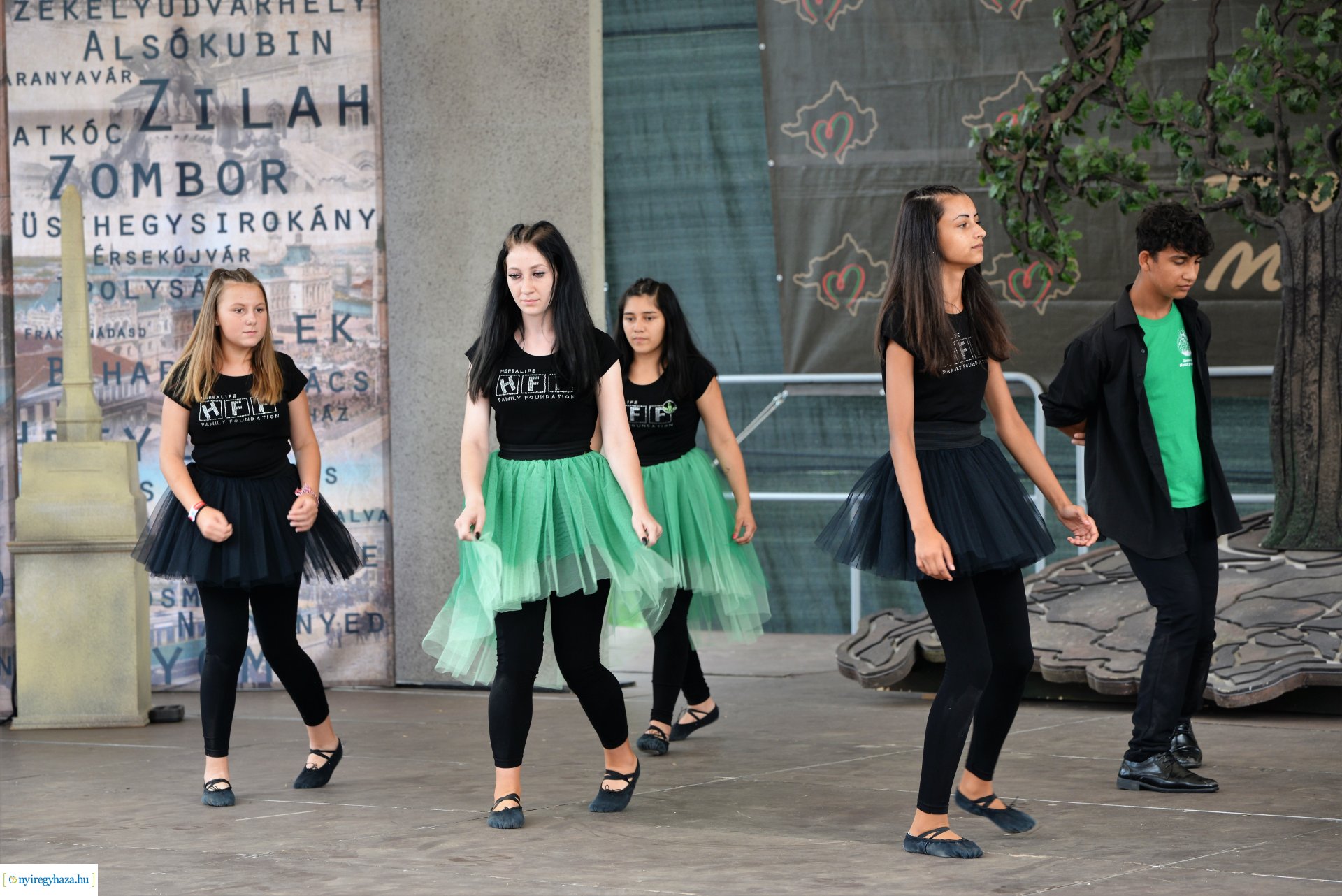 " Itthon vagyunk" vármegyei identitás feszt