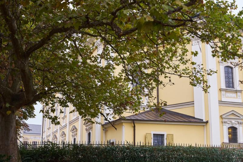 10 éves az Evangélikus Roma Szakkollégium