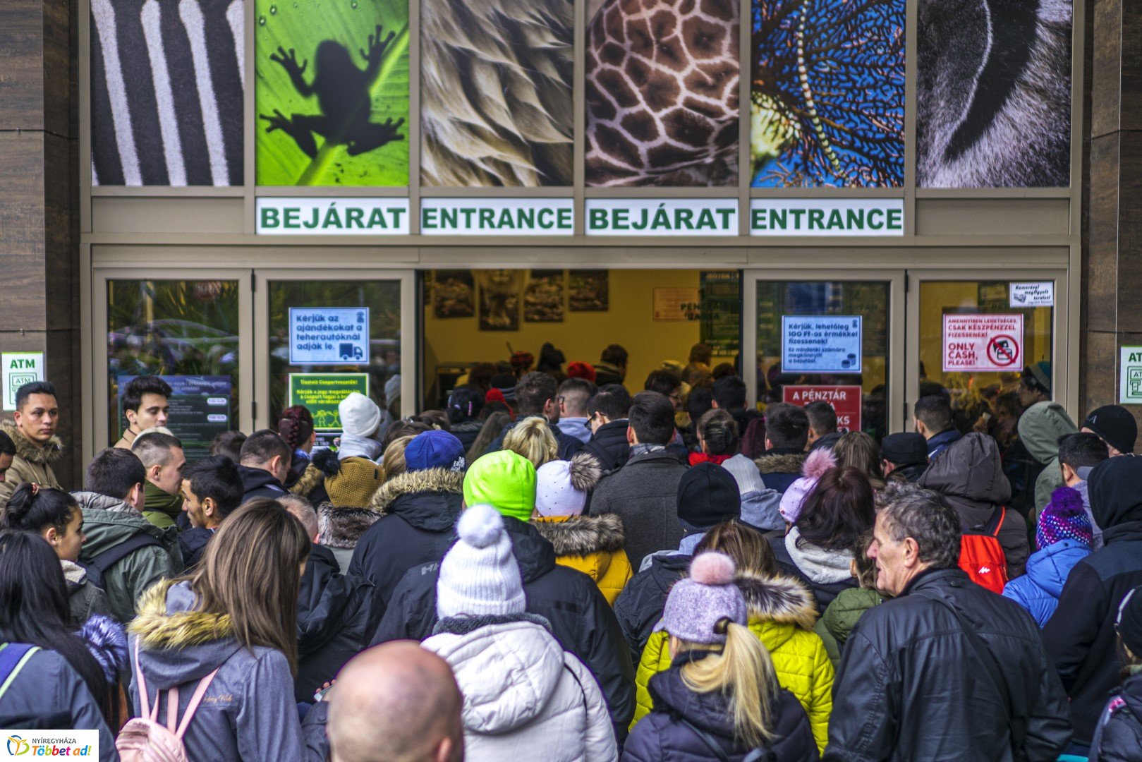 100 forintos nap a Nyíregyházi Állatparkban