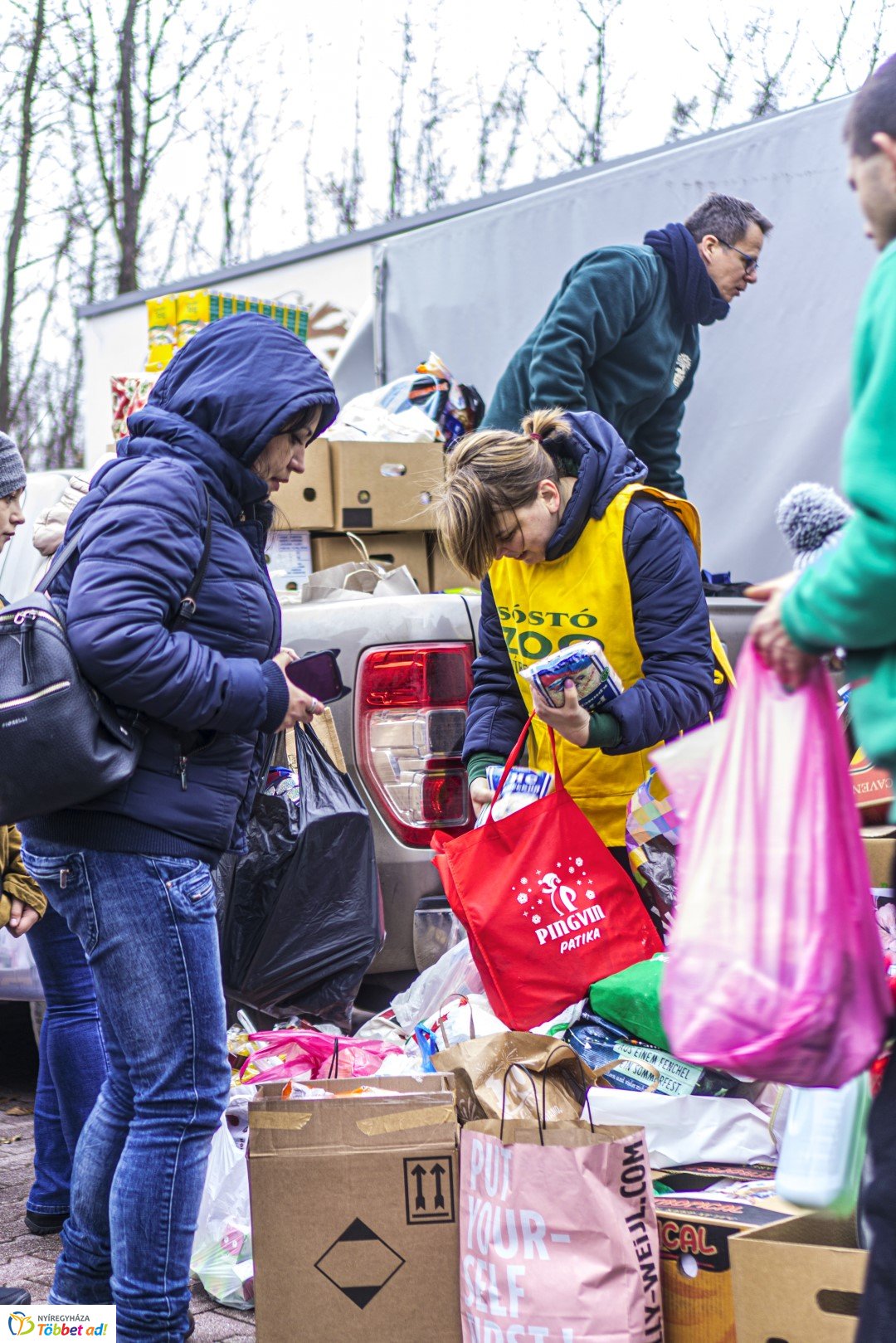 100 forintos nap a Nyíregyházi Állatparkban