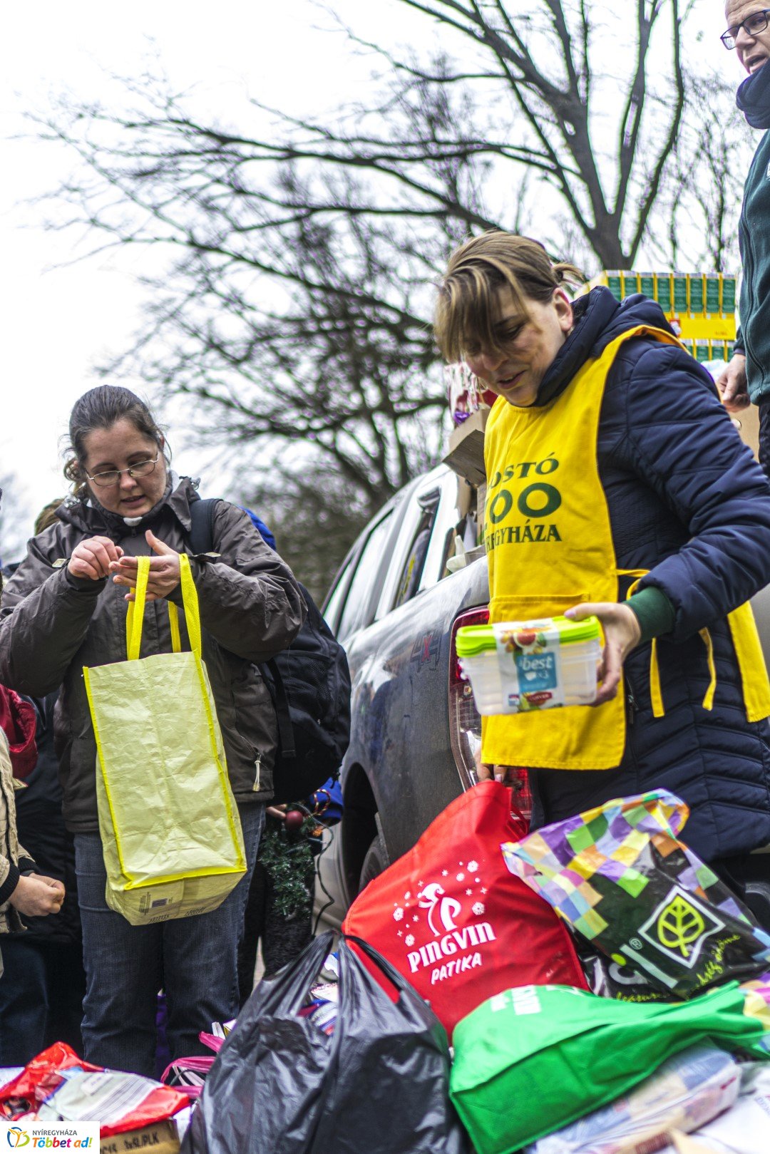 100 forintos nap a Nyíregyházi Állatparkban