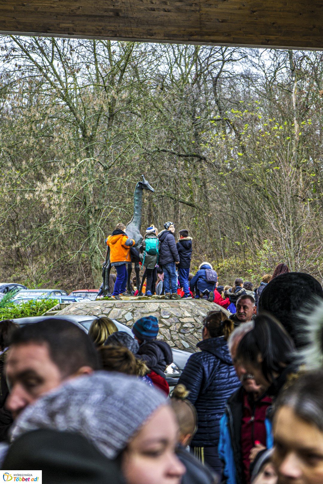 100 forintos nap a Nyíregyházi Állatparkban
