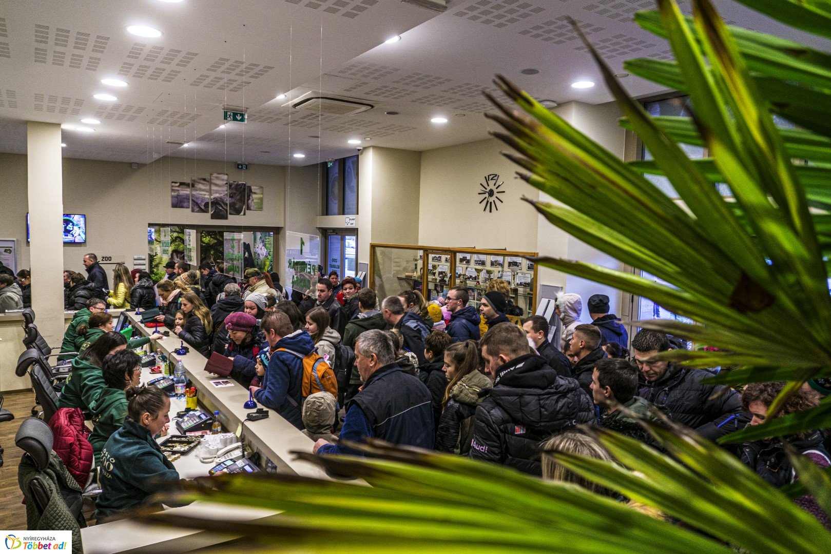 100 forintos nap a Nyíregyházi Állatparkban