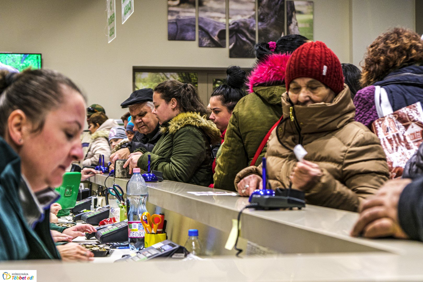 100 forintos nap a Nyíregyházi Állatparkban