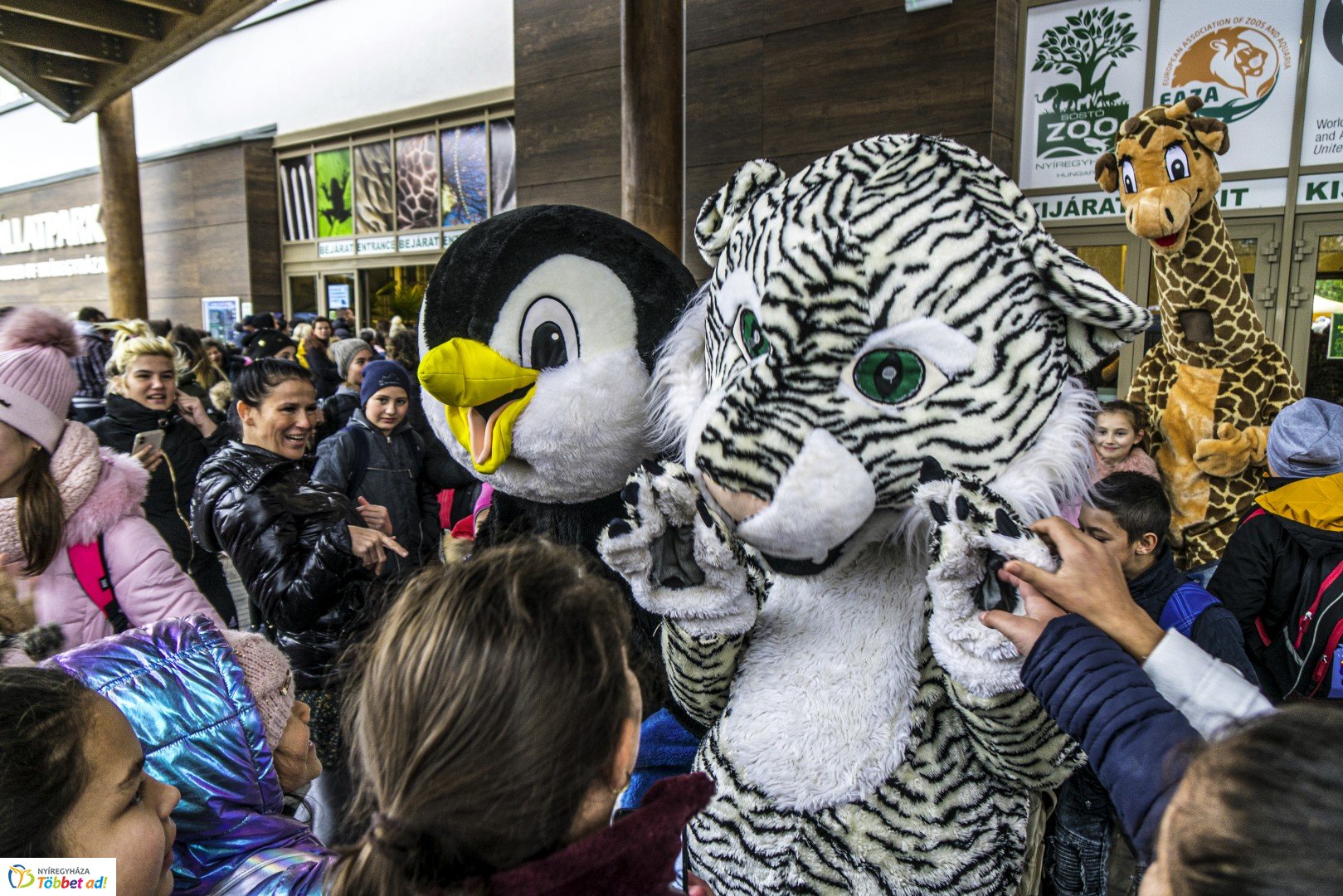 100 forintos nap a Nyíregyházi Állatparkban