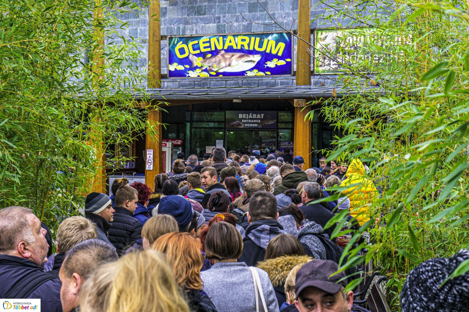 100 forintos nap a Nyíregyházi Állatparkban