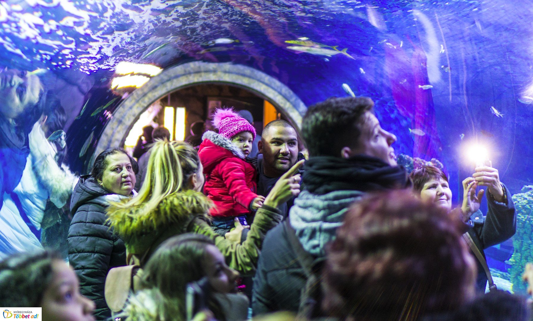 100 forintos nap a Nyíregyházi Állatparkban