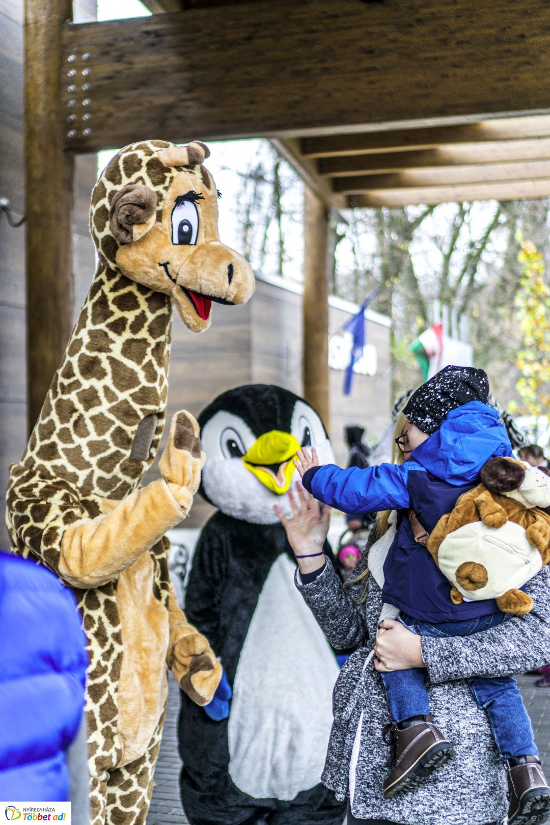 100 forintos nap a Nyíregyházi Állatparkban