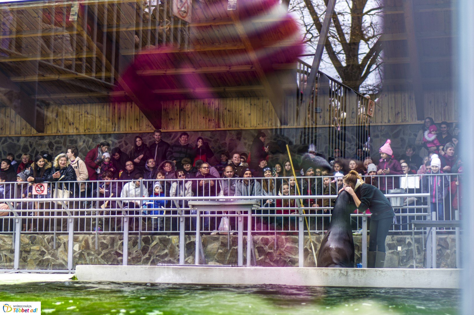 100 forintos nap a Nyíregyházi Állatparkban