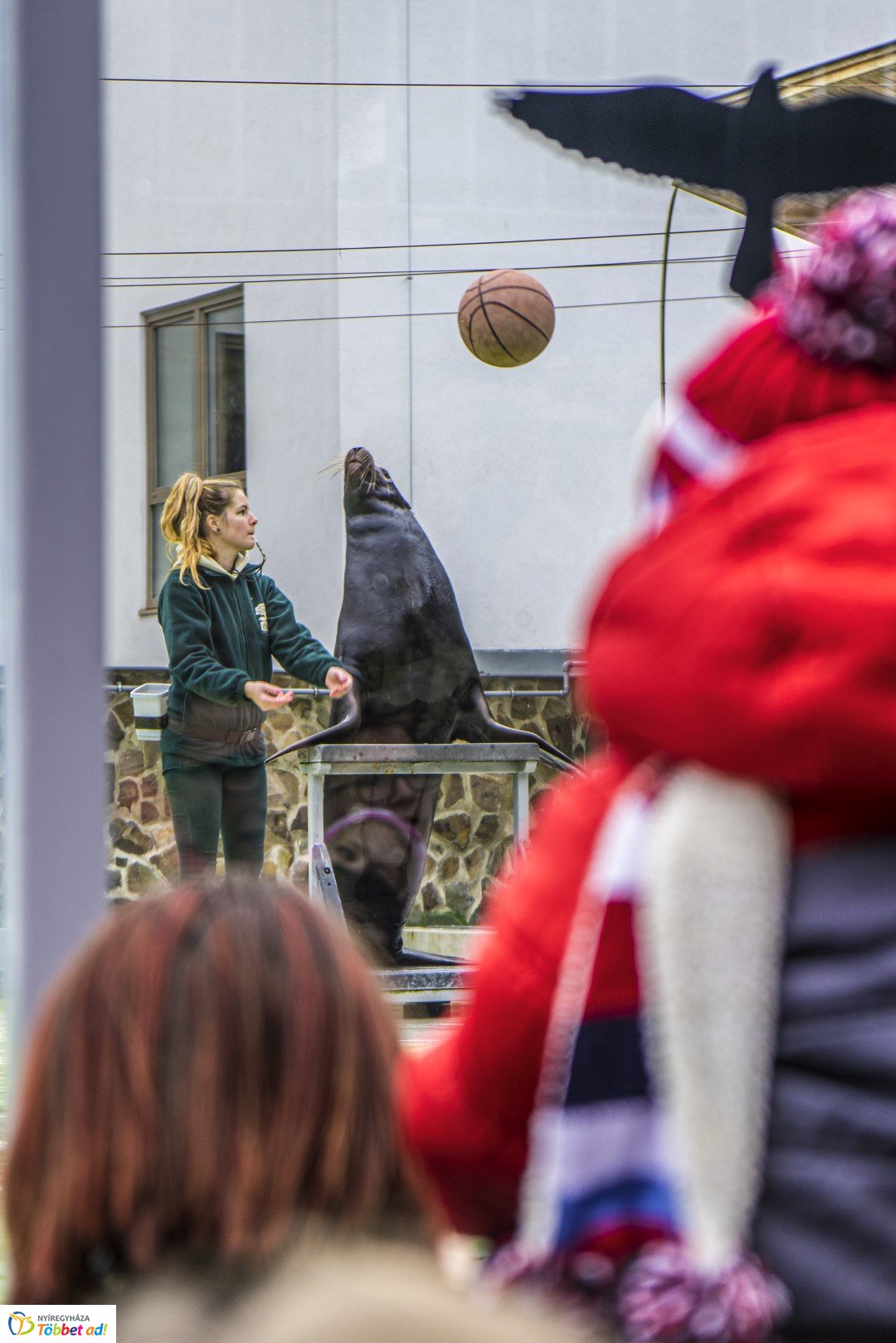 100 forintos nap a Nyíregyházi Állatparkban