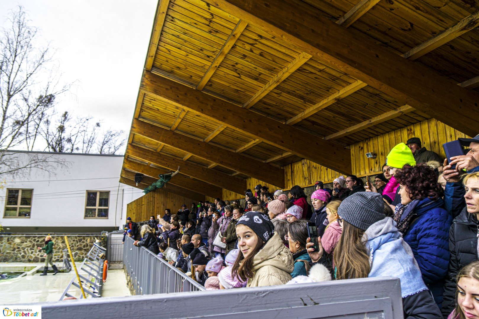 100 forintos nap a Nyíregyházi Állatparkban