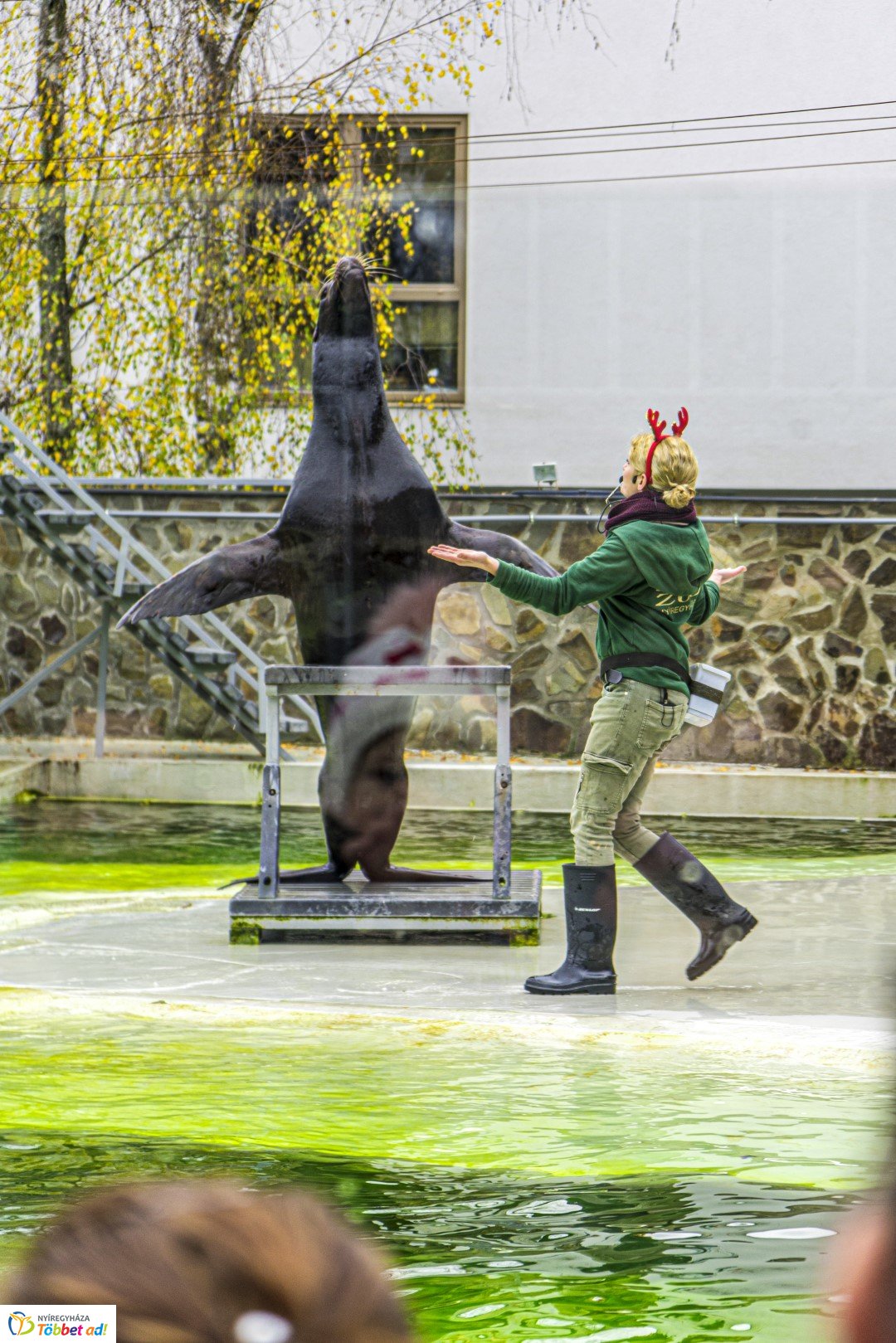 100 forintos nap a Nyíregyházi Állatparkban