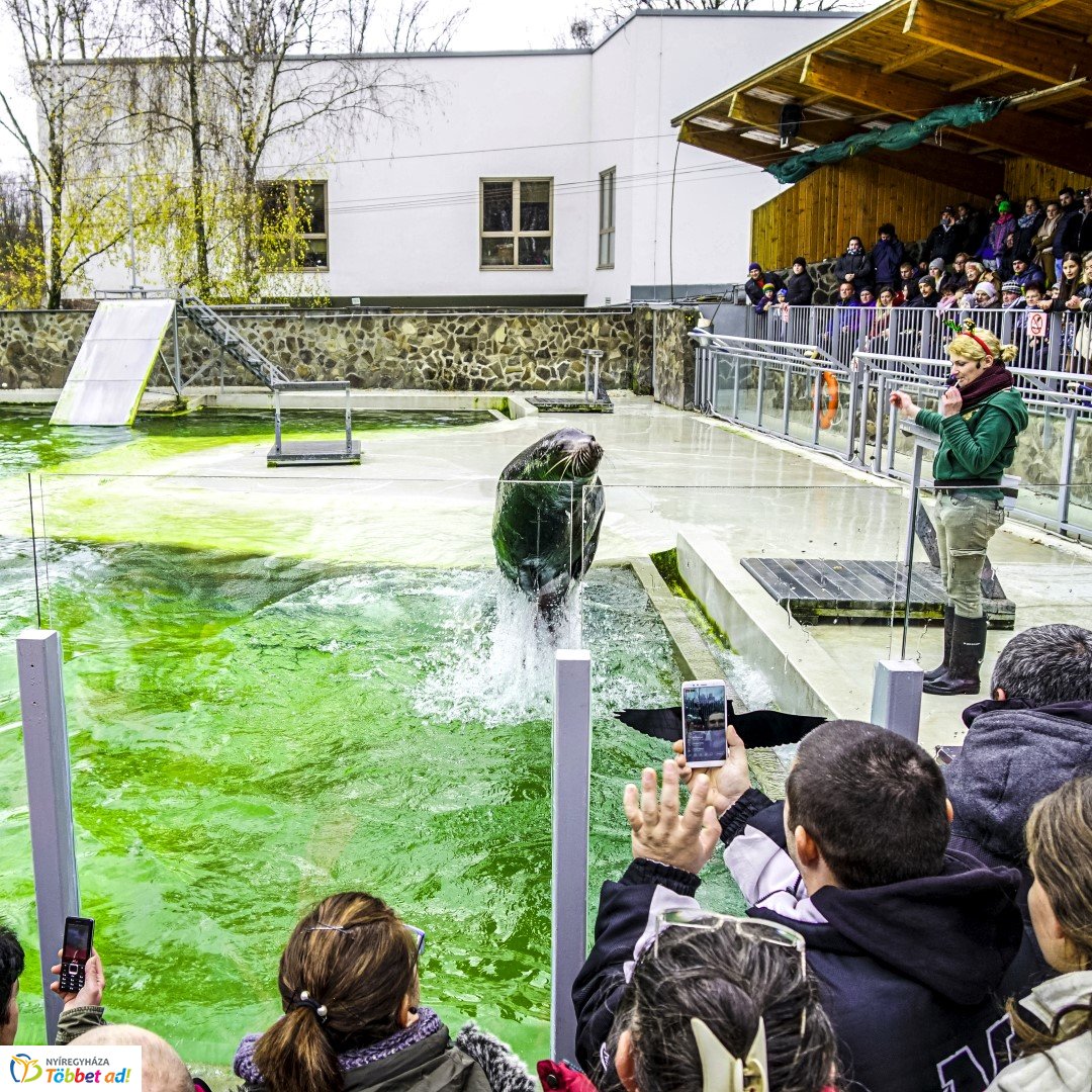 100 forintos nap a Nyíregyházi Állatparkban