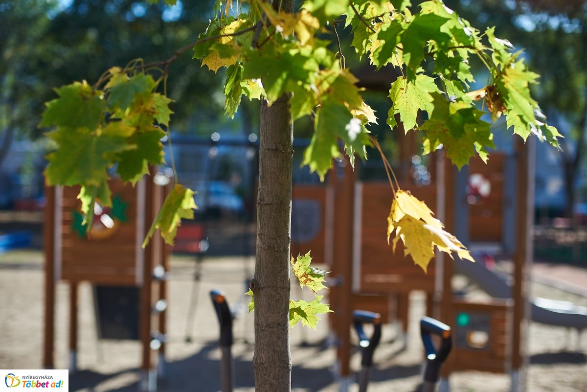 100. játszótér átadó