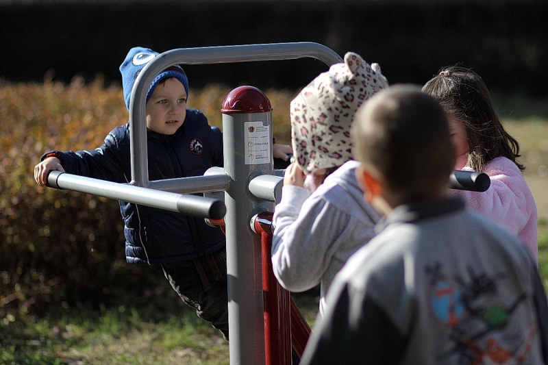 Ovisok a kondiparkban