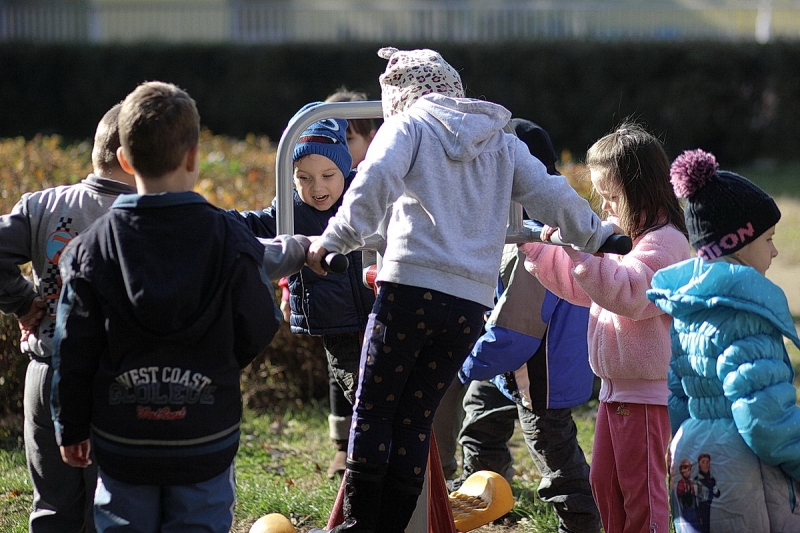 Ovisok a kondiparkban