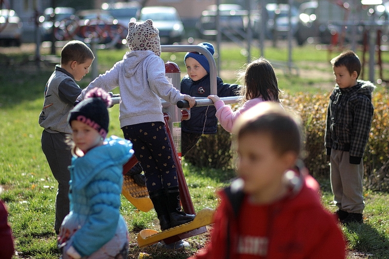 Ovisok a kondiparkban