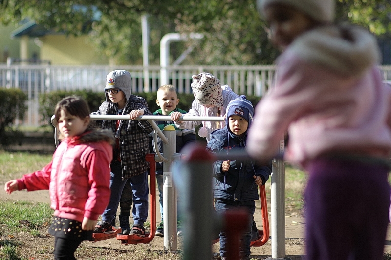 Ovisok a kondiparkban