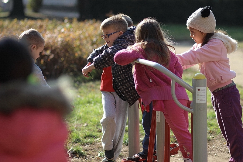 Ovisok a kondiparkban
