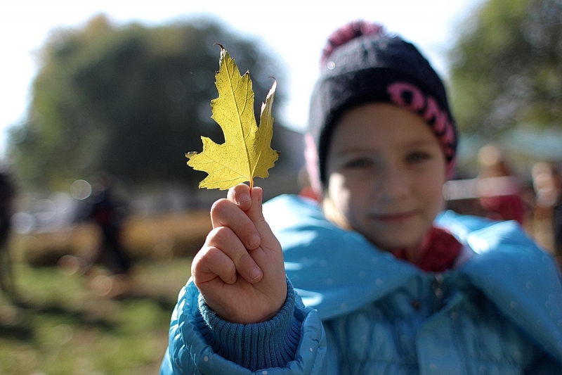 Ovisok a kondiparkban
