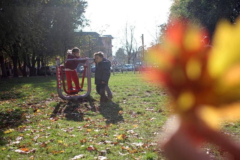 Ovisok a kondiparkban