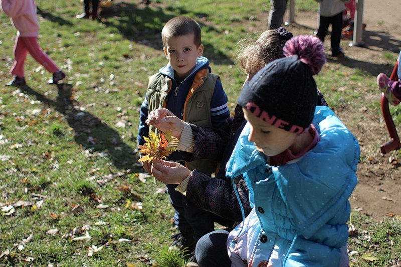 Ovisok a kondiparkban