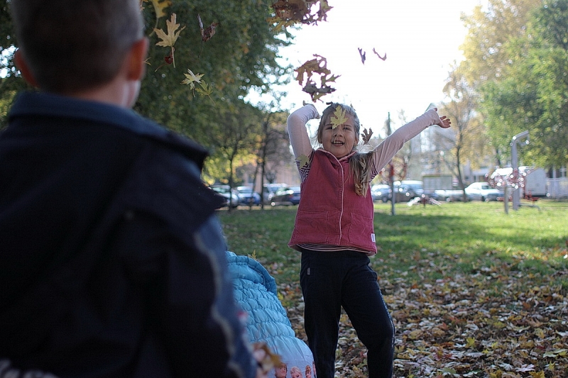 Ovisok a kondiparkban