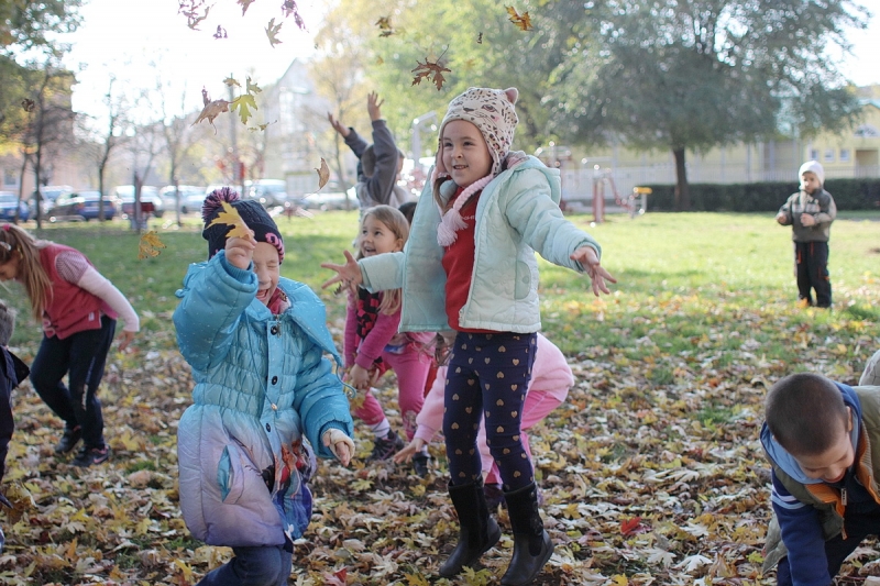 Ovisok a kondiparkban