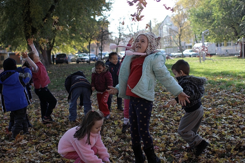 Ovisok a kondiparkban