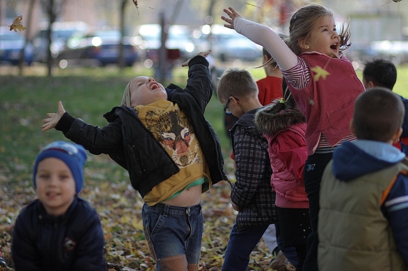 Ovisok a kondiparkban