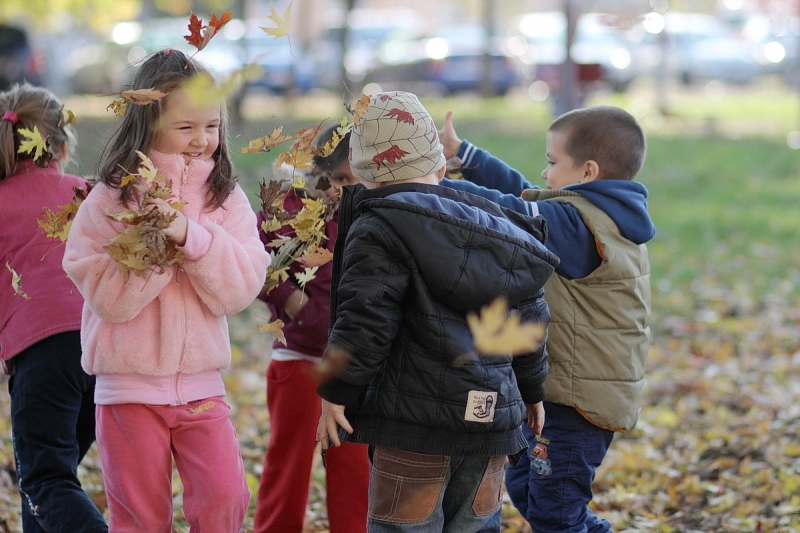 Ovisok a kondiparkban