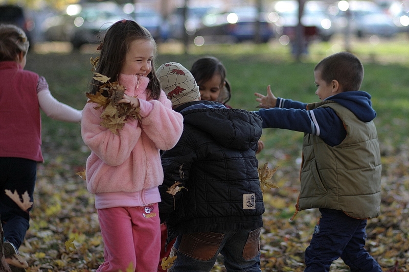 Ovisok a kondiparkban
