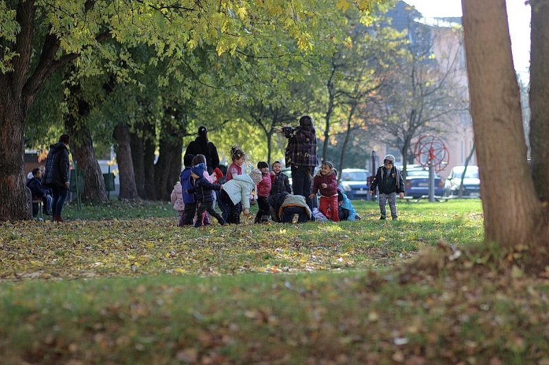 Ovisok a kondiparkban