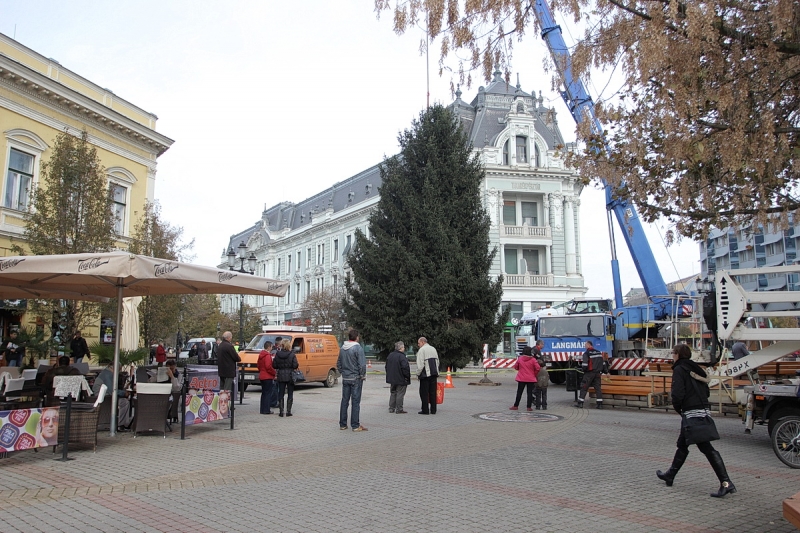 Felállították a város karácsonyfáját