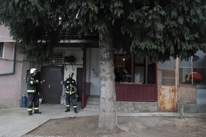 Felállították a város karácsonyfáját