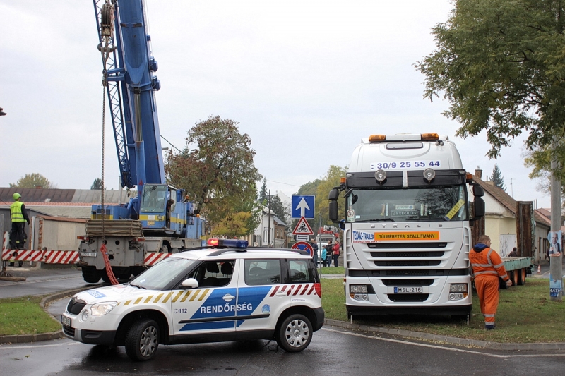 Felállították a város karácsonyfáját