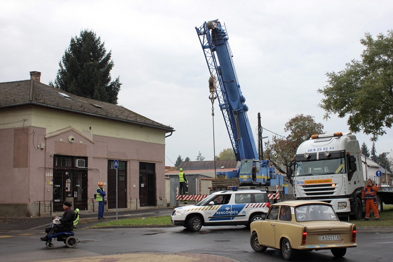 Felállították a város karácsonyfáját