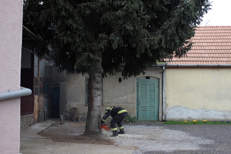 Felállították a város karácsonyfáját