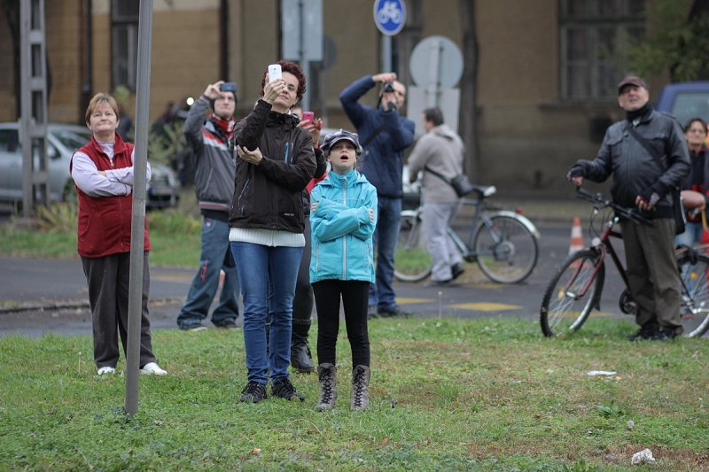 Felállították a város karácsonyfáját