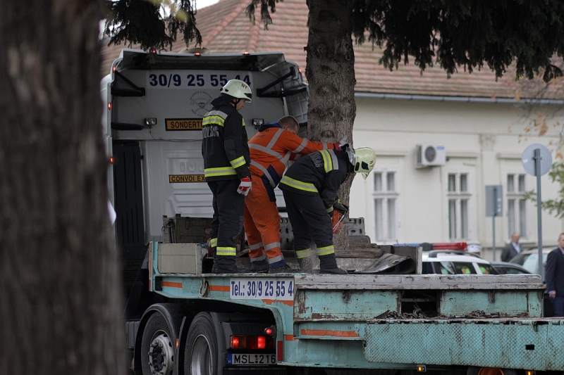 Felállították a város karácsonyfáját