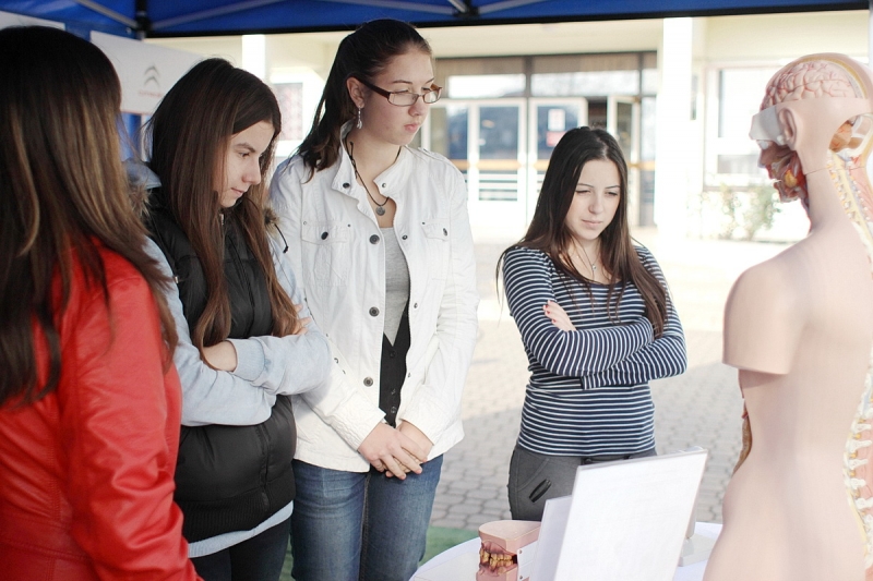 Zay hét – egészségfelmérés