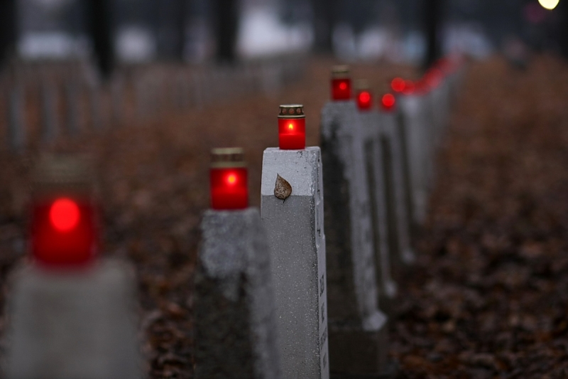 Az első világháborúra emlékeztek