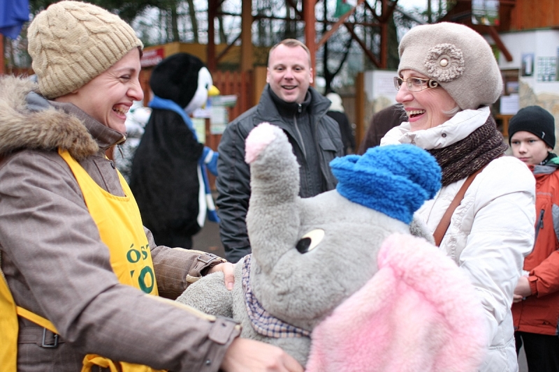 100 Ft-os nap az állatparkban