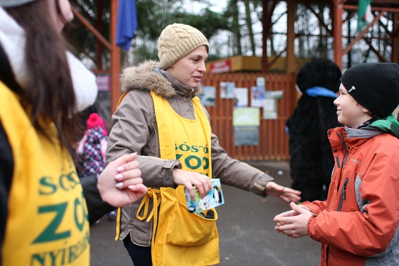 100 Ft-os nap az állatparkban