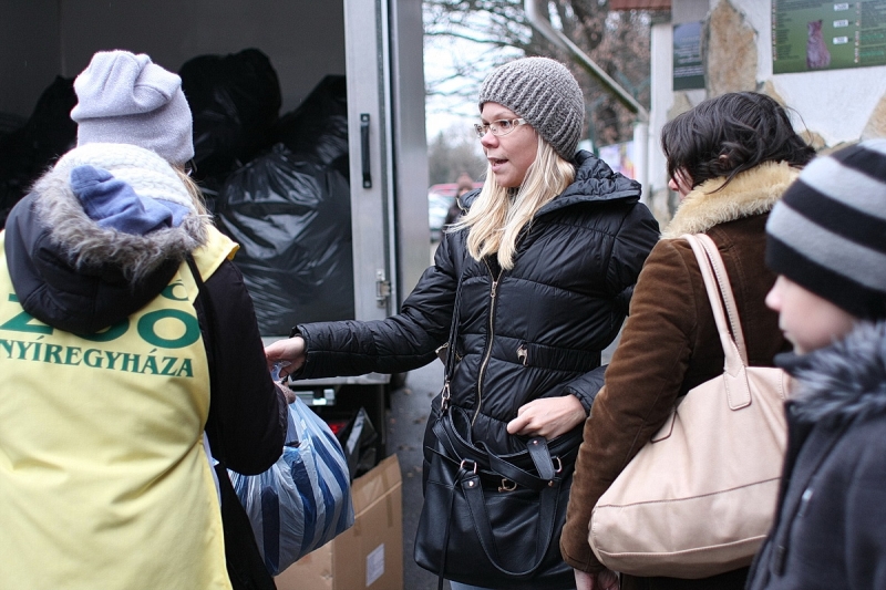 100 Ft-os nap az állatparkban