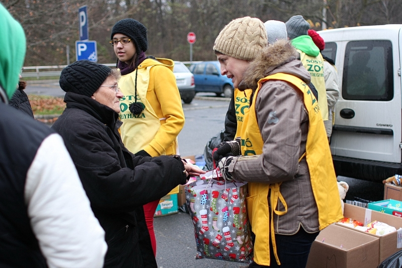 100 Ft-os nap az állatparkban