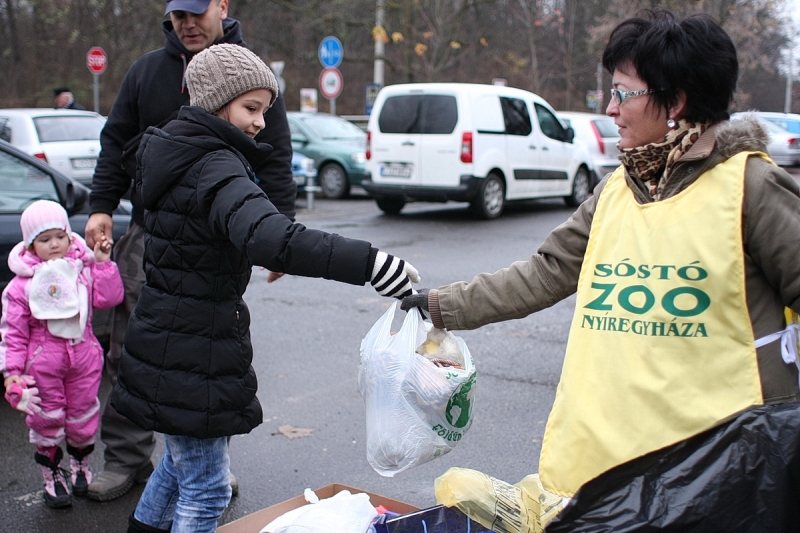 100 Ft-os nap az állatparkban